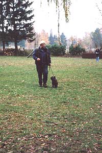 Cairn Terrier sind sehr intelligent und haben eine rasche Auffassungsgabe- wenn sie wollen. ;-)