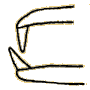 Vorbiss